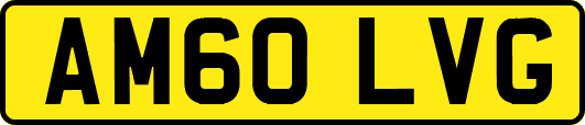 AM60LVG