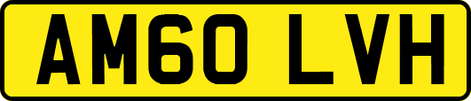AM60LVH