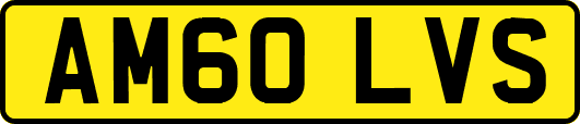 AM60LVS