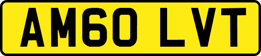 AM60LVT