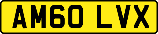 AM60LVX