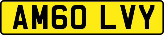 AM60LVY