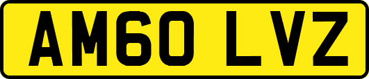 AM60LVZ