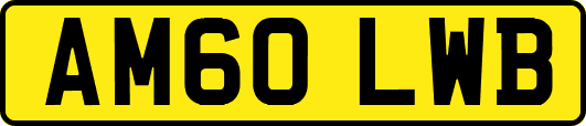 AM60LWB