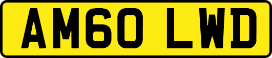 AM60LWD
