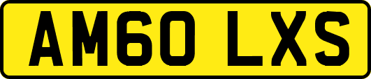 AM60LXS