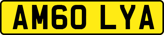 AM60LYA