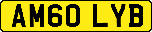 AM60LYB