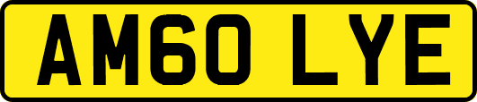 AM60LYE