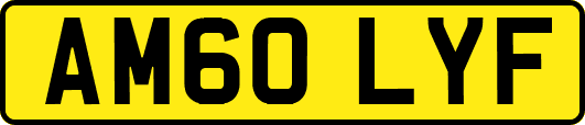 AM60LYF