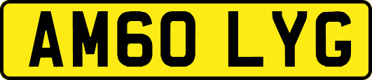 AM60LYG