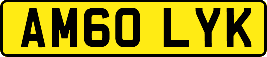 AM60LYK