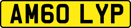 AM60LYP