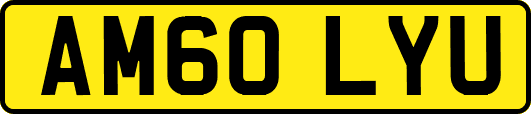 AM60LYU