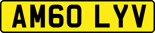 AM60LYV