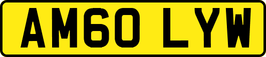 AM60LYW