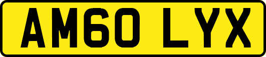AM60LYX
