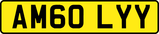 AM60LYY