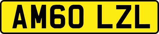 AM60LZL