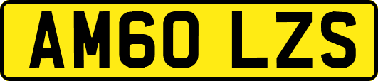 AM60LZS