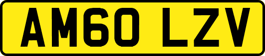 AM60LZV