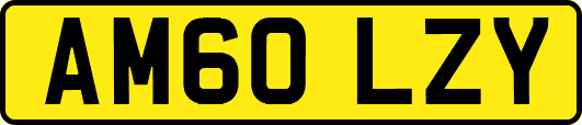 AM60LZY