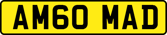 AM60MAD