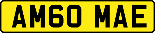 AM60MAE