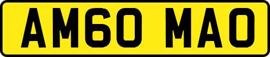 AM60MAO