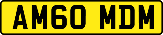 AM60MDM