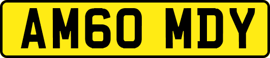 AM60MDY