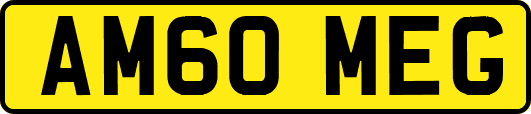 AM60MEG