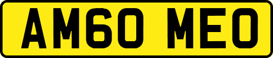 AM60MEO