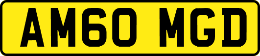 AM60MGD