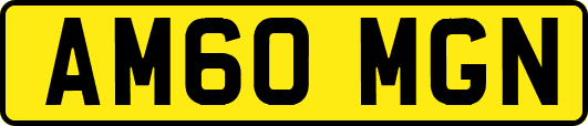 AM60MGN