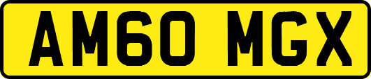 AM60MGX