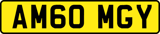 AM60MGY