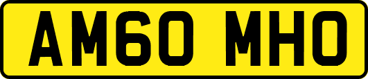 AM60MHO