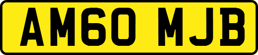 AM60MJB