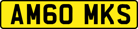 AM60MKS