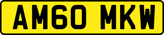 AM60MKW