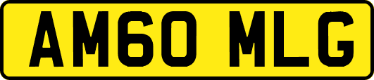 AM60MLG