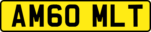 AM60MLT