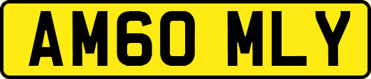 AM60MLY