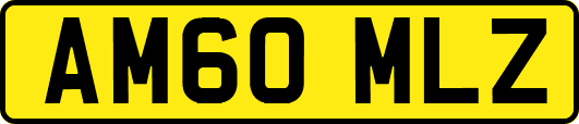 AM60MLZ