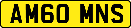 AM60MNS