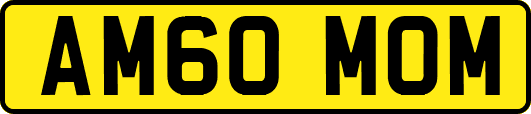 AM60MOM