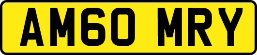 AM60MRY