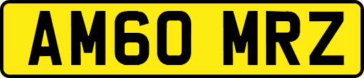 AM60MRZ