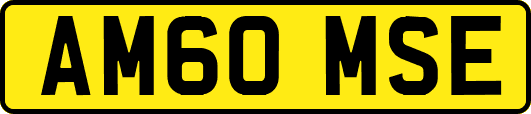 AM60MSE